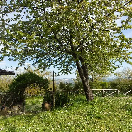 Heritage In Marche With Garden And Barbeque *